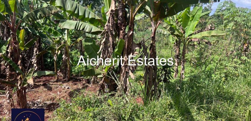 Plots in Mukono-Kituza Road Along Katosi Road